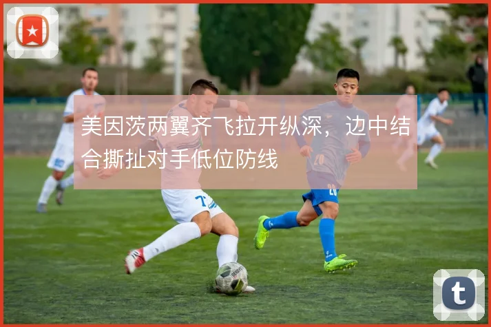 美因茨两翼齐飞拉开纵深，边中结合撕扯对手低位防线