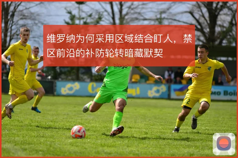 维罗纳为何采用区域结合盯人，禁区前沿的补防轮转暗藏默契