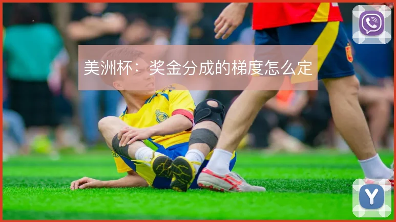 美洲杯：奖金分成的梯度怎么定