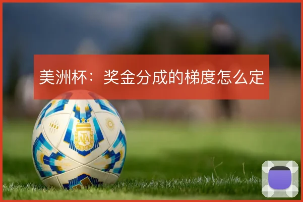 美洲杯：奖金分成的梯度怎么定