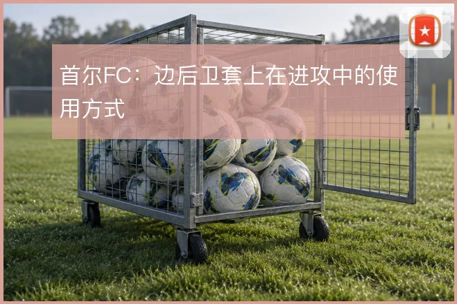 首尔FC：边后卫套上在进攻中的使用方式