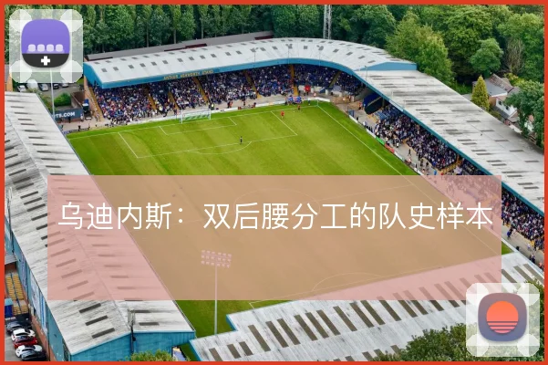 乌迪内斯：双后腰分工的队史样本